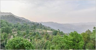Him Valley Homestay is the Hotel in Shoghi