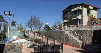 Mint Tarika Resort is the Resort in Chail