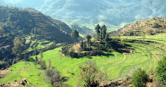 Pithoragarh just 6hrs and 30 min drive from Delhi