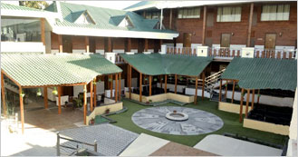 Treehouse Chail Villas is the Resort in Chail