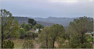 White Mushroom is the Hotel in Nahan Himachal