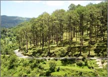 Best of Uttarakhand Hills Tour Package