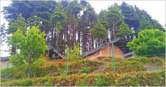 Camp Wildex in Kanatal