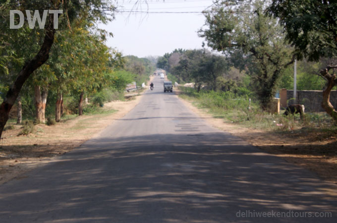 Ranthambore City Photo