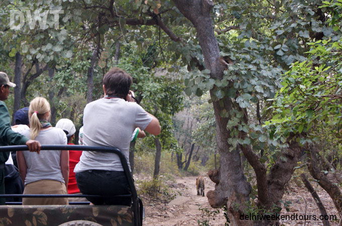 Ranthambore City Photo
