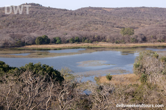 Ranthambore City Photo