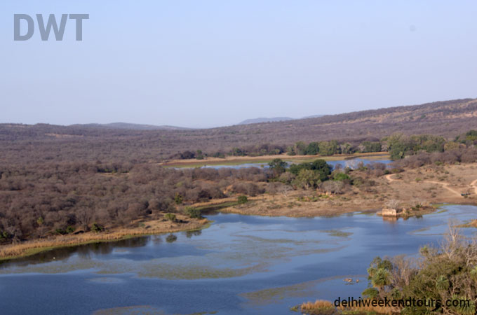Ranthambore City Photo