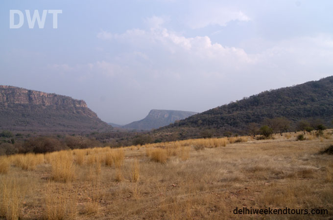 Ranthambore City Photo