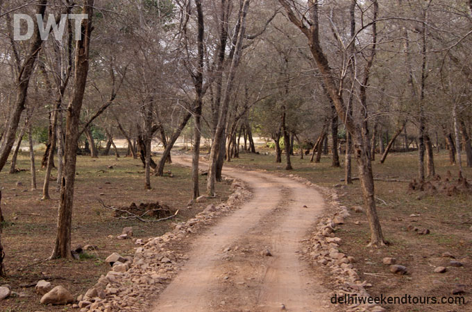 Ranthambore City Photo
