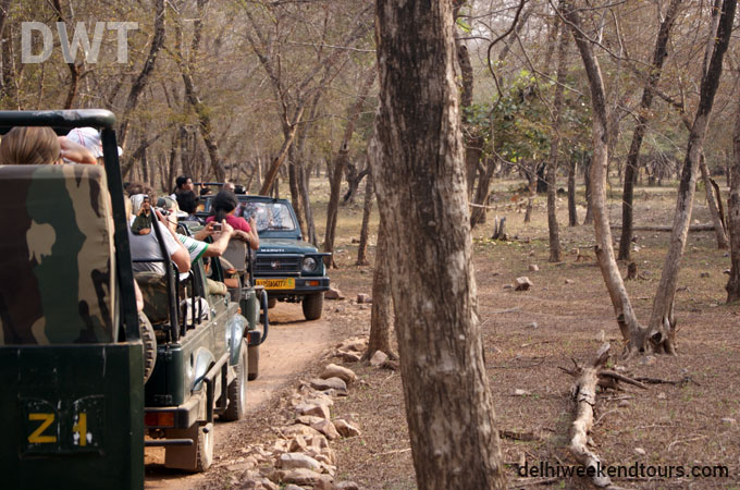 Ranthambore City Photo