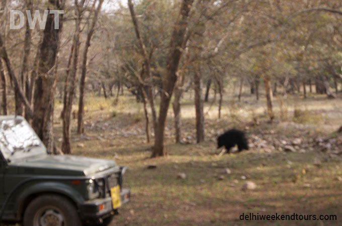Ranthambore City Photo