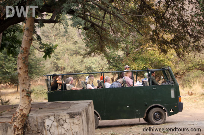 Ranthambore City Photo