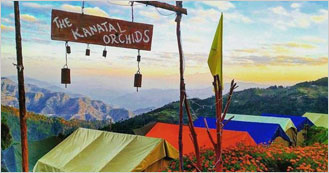 The Kanatal Orchids Resort in Kanatal